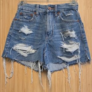 American Eagle Outfitters Blue Distressed Jean Shorts